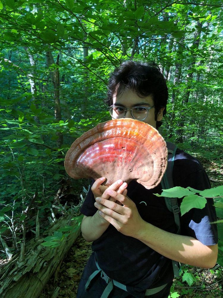 07-16-31-1625751061300864566