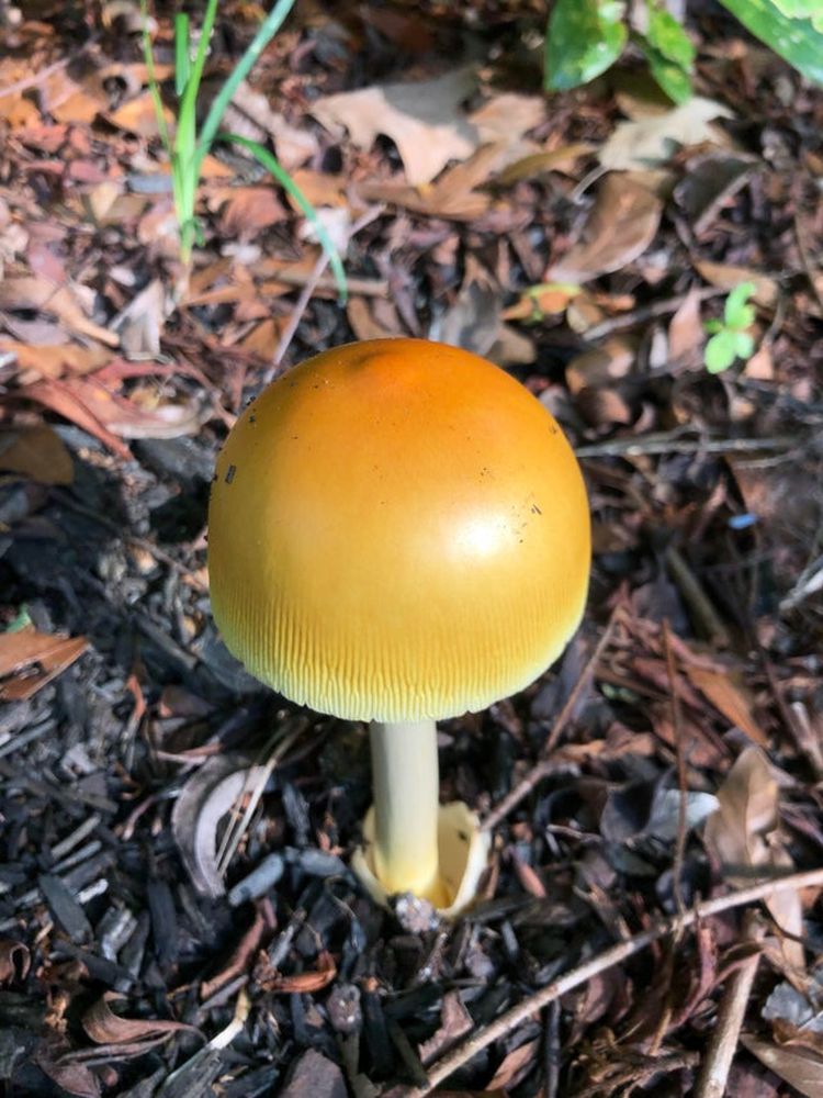 07-16-31-16257510641537667086