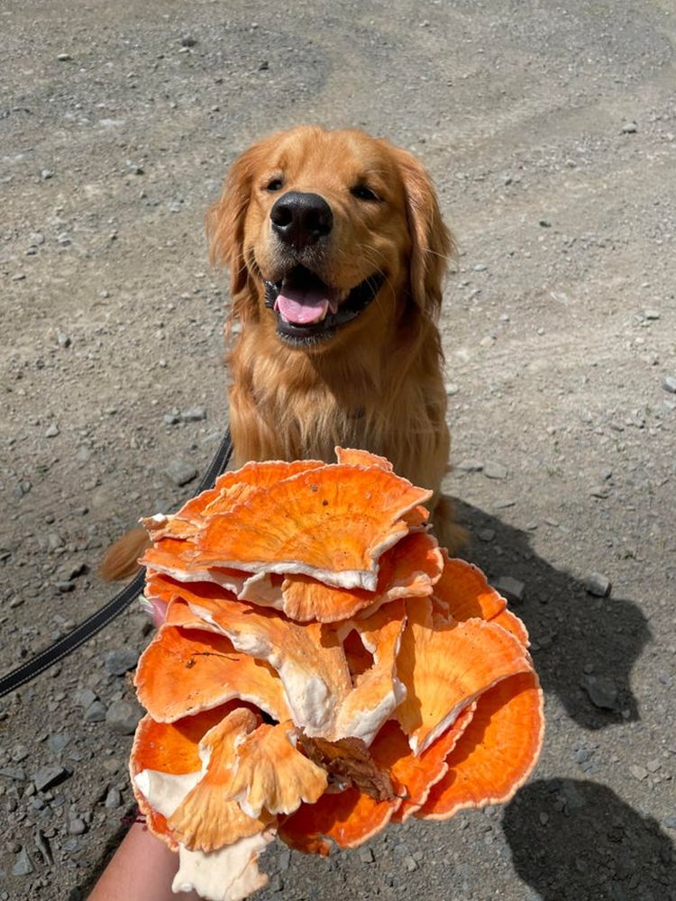 07-16-31-16257510712066204036