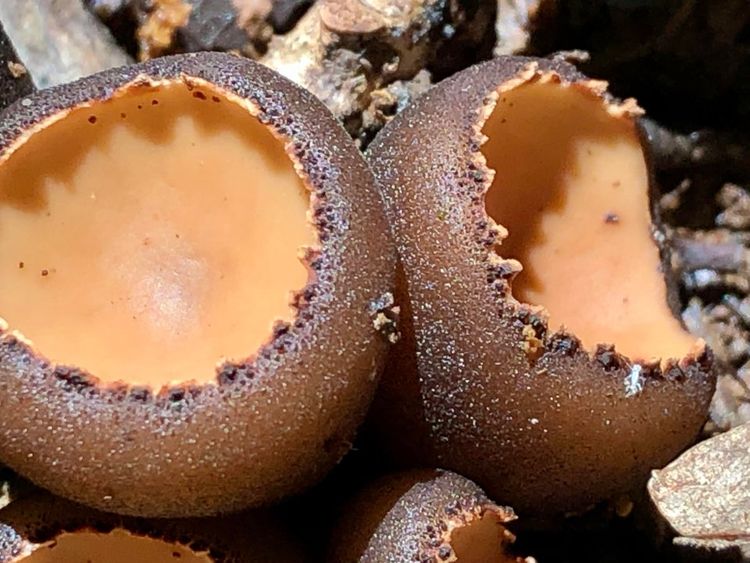 07-16-31-16257510741989170956