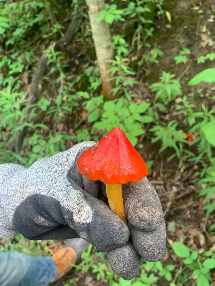 07-16-31-1625751080552028882