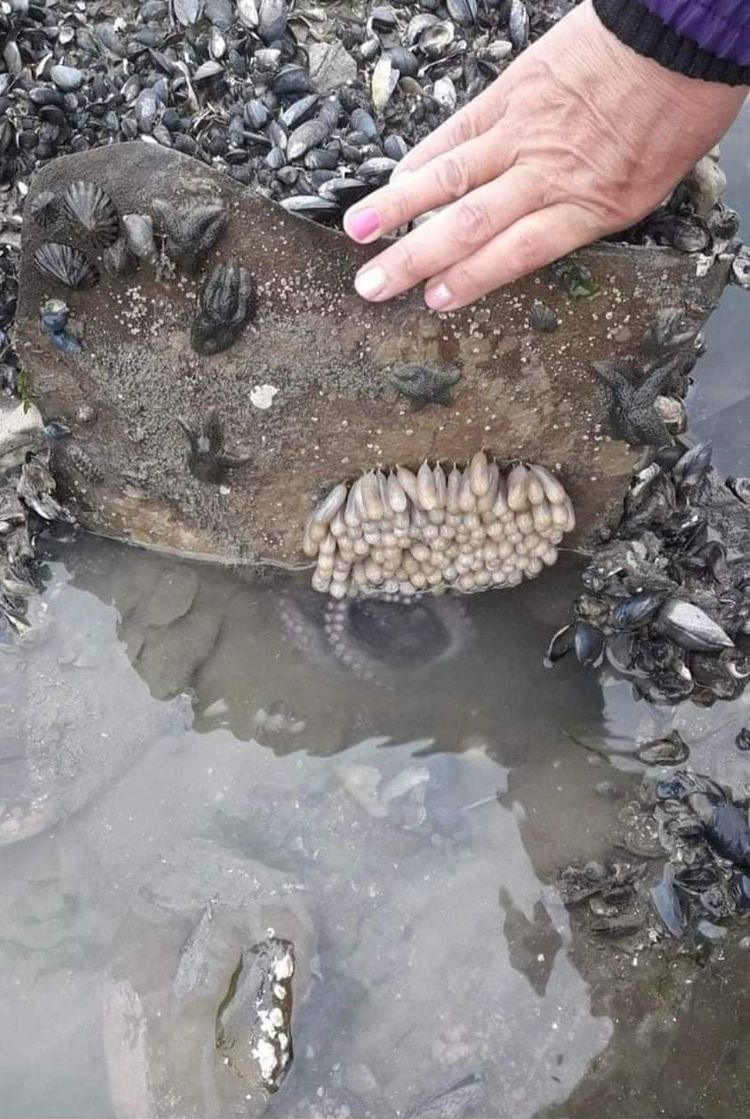 07-16-36-16253193762098412207