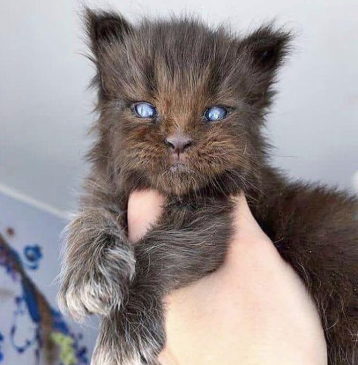 07-16-36-1625319416133182704