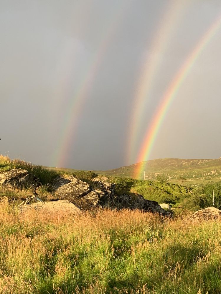 07-16-37-16253194392129120235