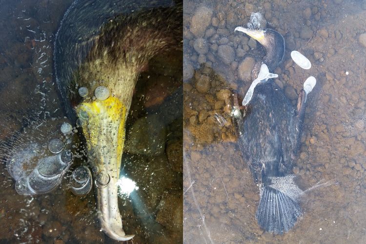 07-16-43-1625319794637067976