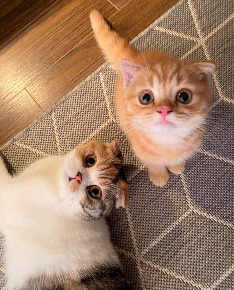 07-16-58-1627307895614533464