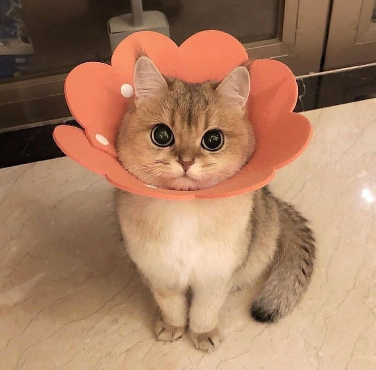 07-16-58-16273079171942633715