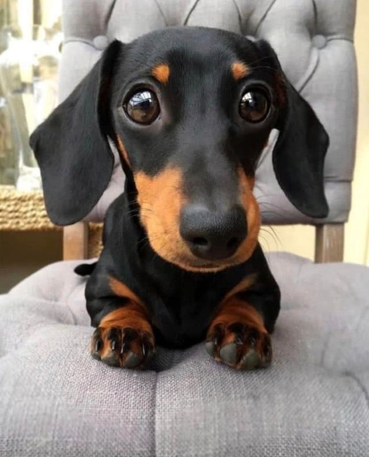 07-16-58-16273079201700719540