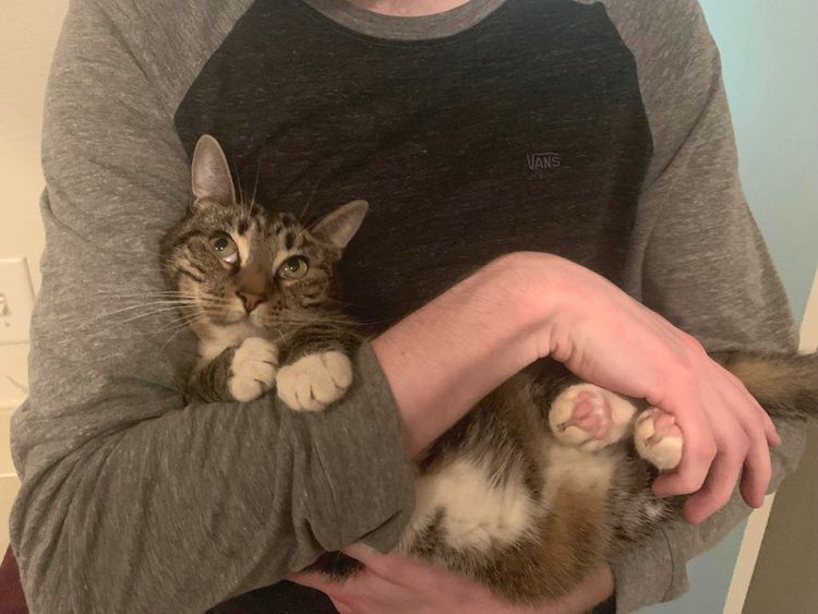 07-16-58-1627307923625366286