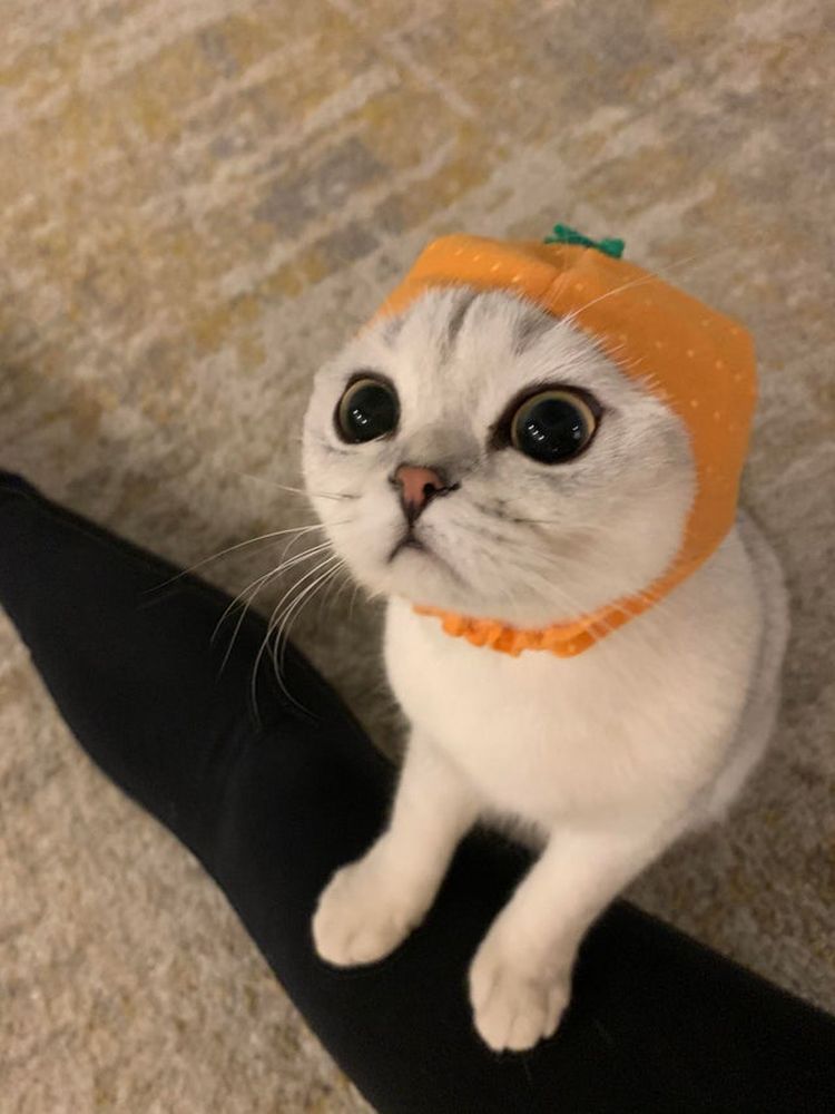 07-16-59-16273079651992628062