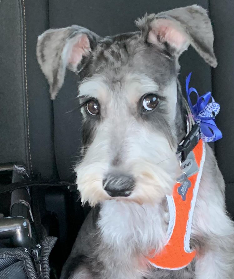 07-16-59-16273079681416794828