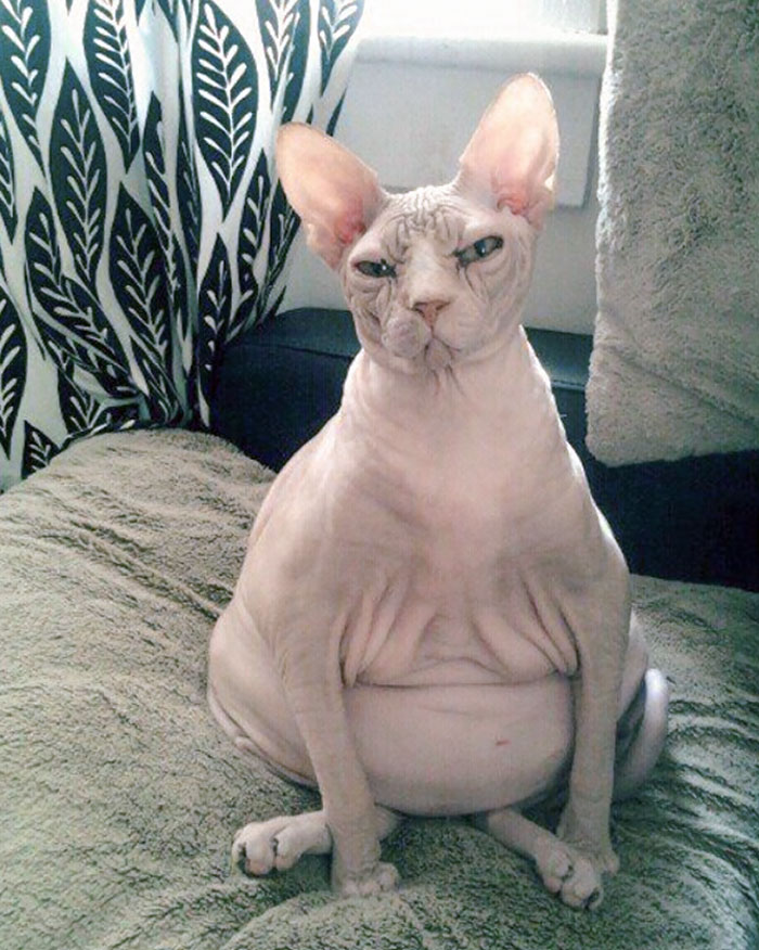 07-17-04-16268762552010449700