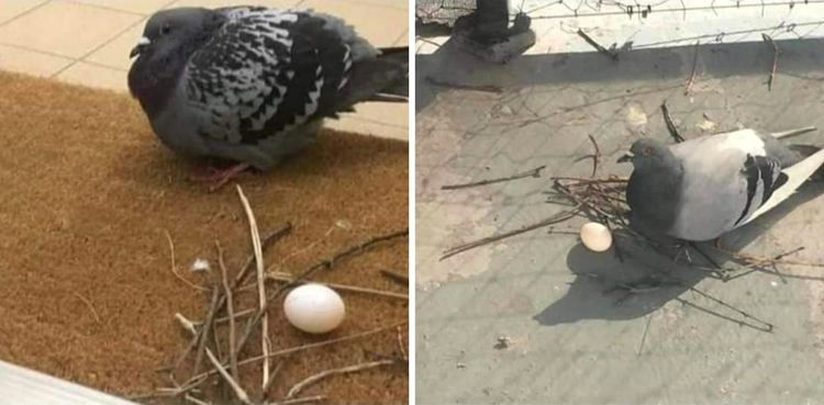 07-17-21-16258405081828594575