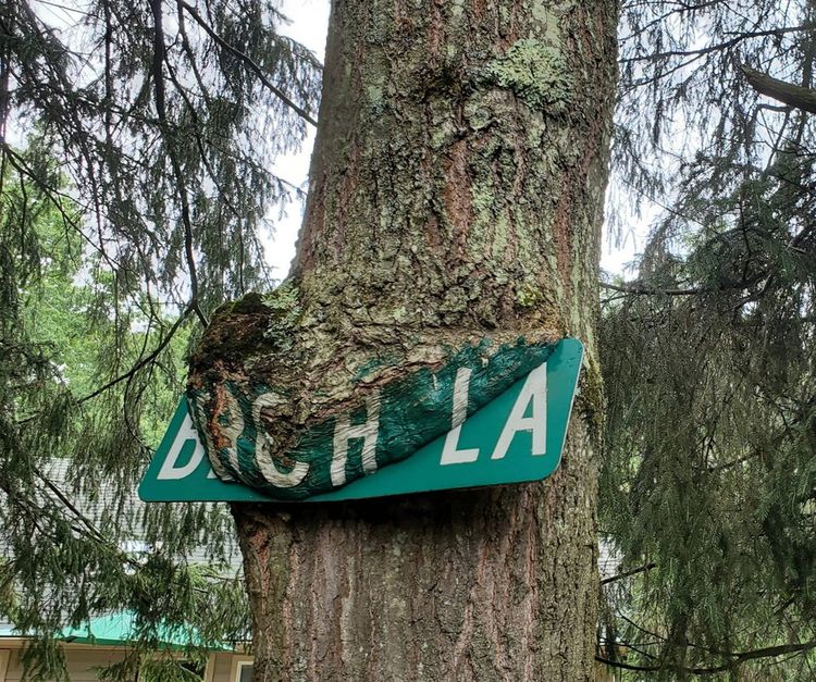 07-17-23-16256678101772247738