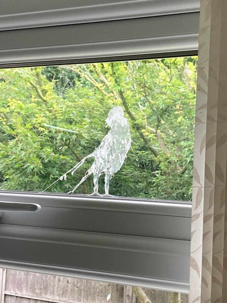 07-17-23-16256678271389722546