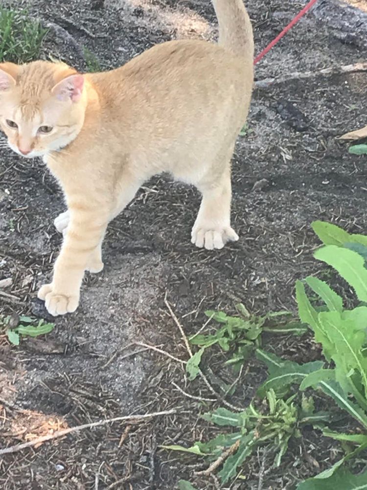 07-17-23-1625667830209713751