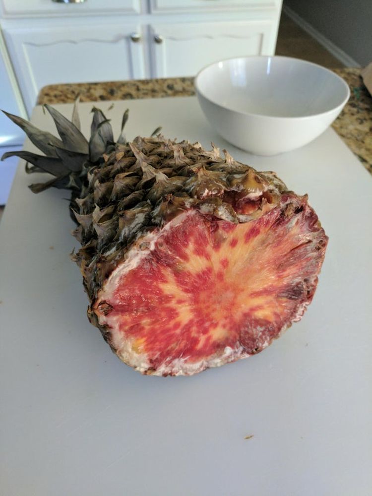 07-17-24-16256678472877587