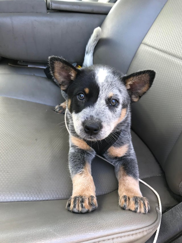 07-17-32-1626791542613733847