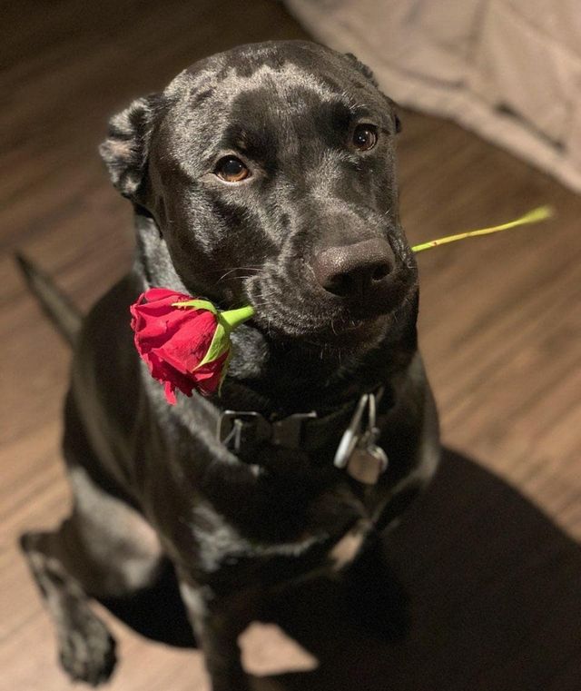 07-17-32-1626791553547255846