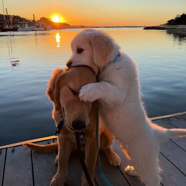 07-17-32-16267915551670950315