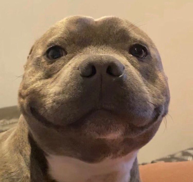 07-17-32-16267915601654339966