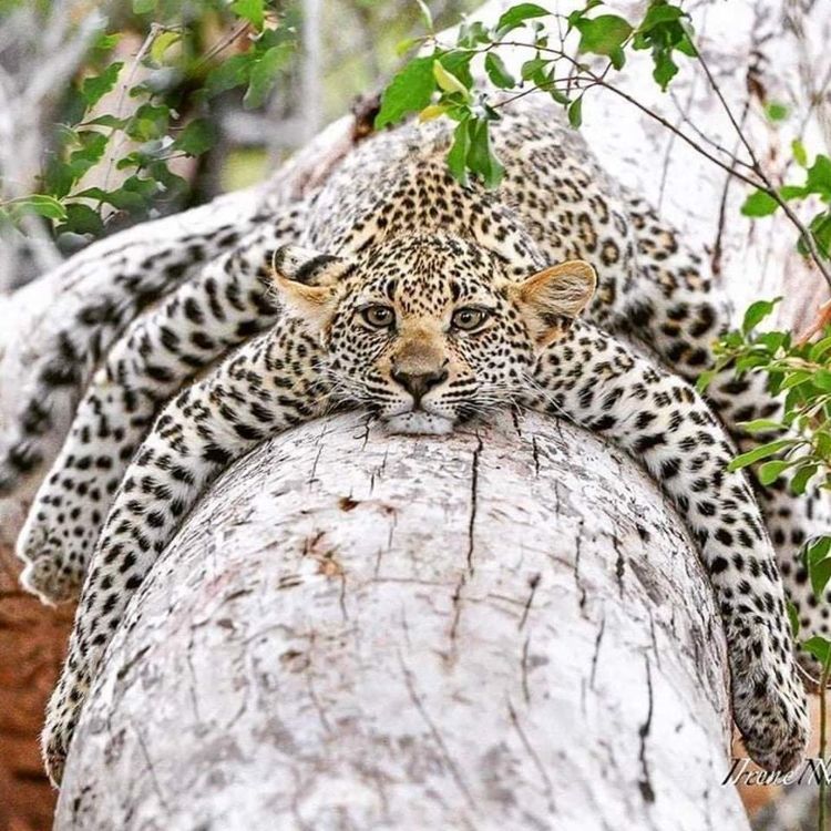 07-17-32-1626791569887110896