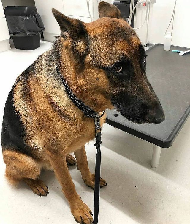 07-17-33-1626791581815279443