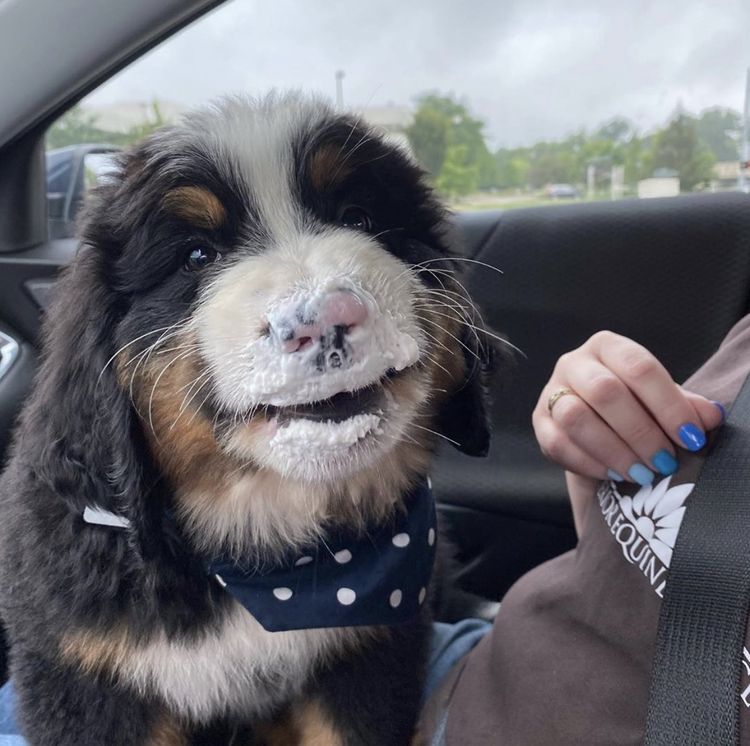 07-17-33-16267916011606808073