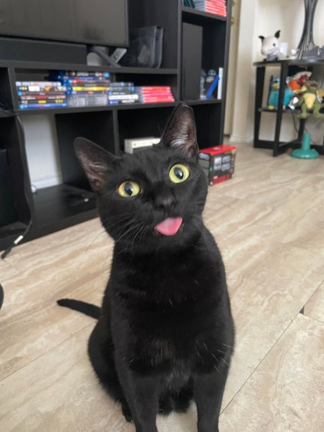 07-17-33-1626791603380739700