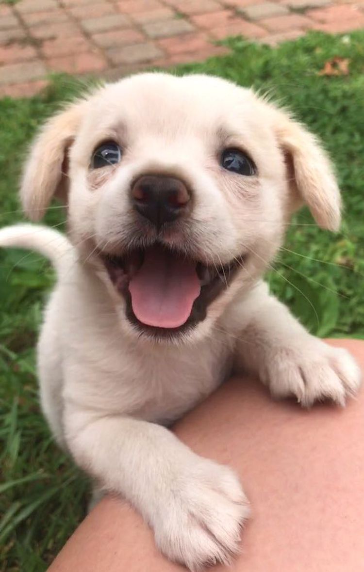 07-17-33-1626791609907423318