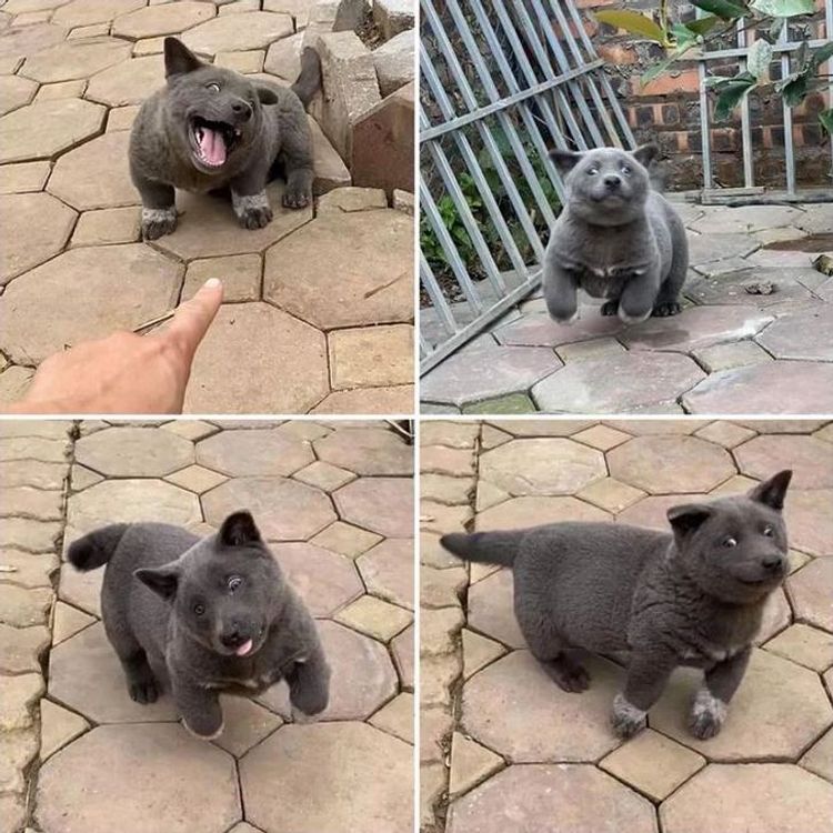 07-17-33-16267916164497734