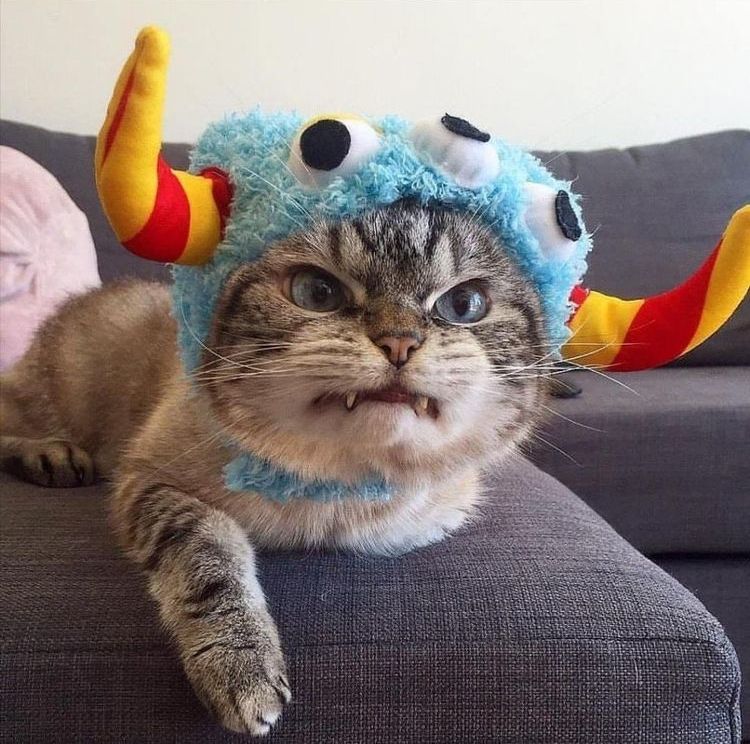 07-17-36-16267917851724460150