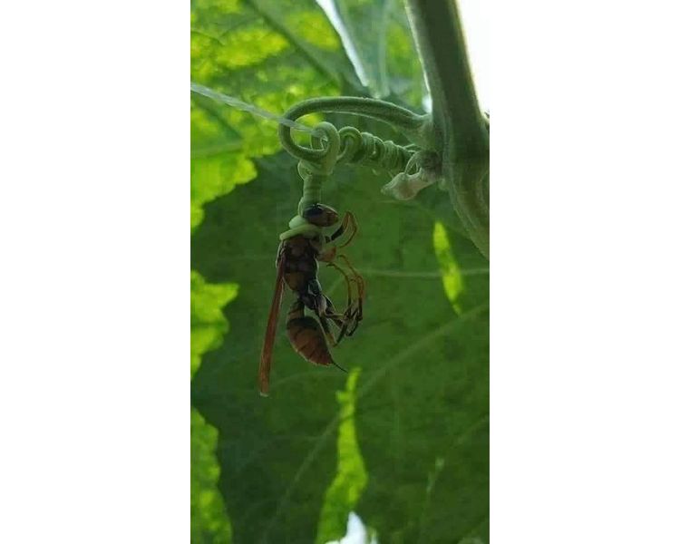 07-17-44-16253234791944082997