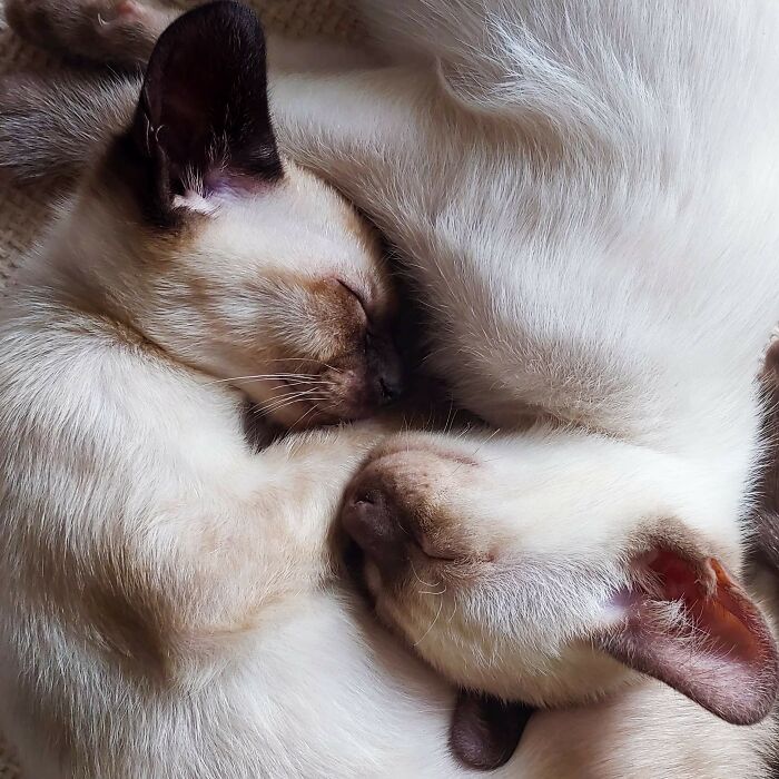 07-18-51-16276602731699933076