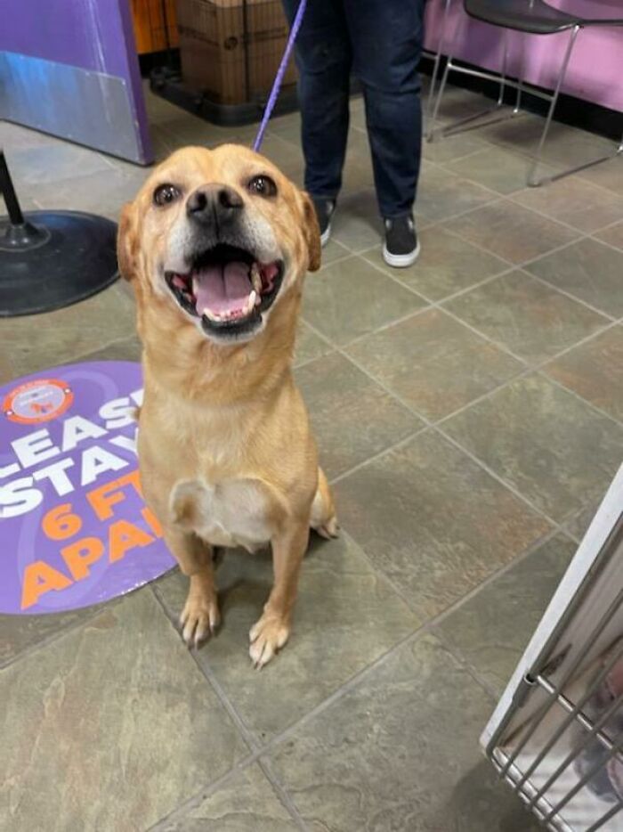 07-18-51-16276602761173033991