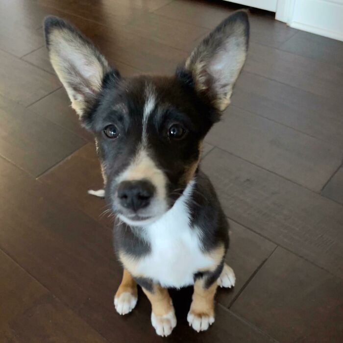 07-18-52-16276603541618135190