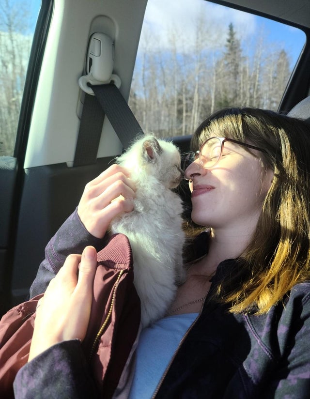 07-18-52-1627660357445087011