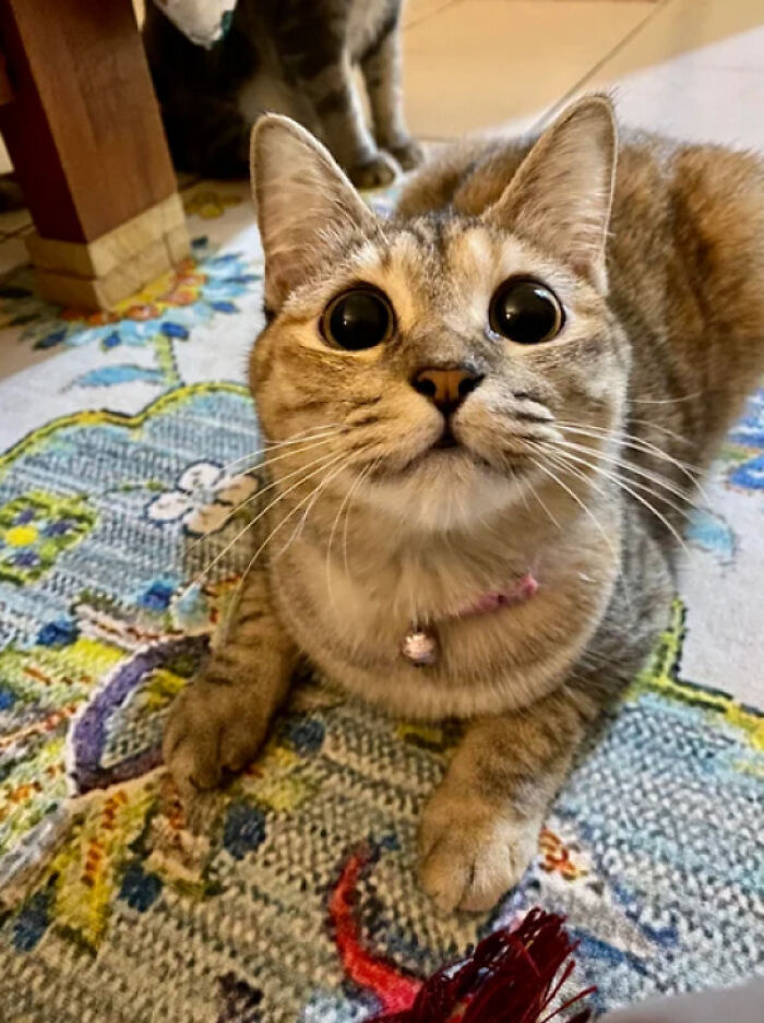 07-18-52-1627660361108852980