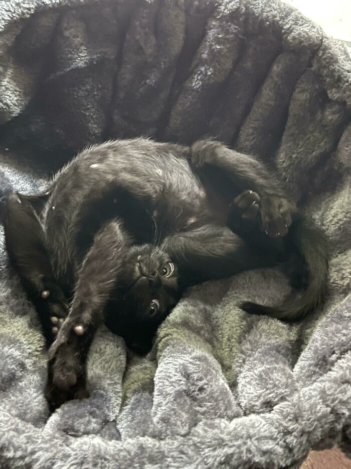 07-18-52-16276603731325302856