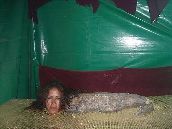 07-21-05-1625162736306933764