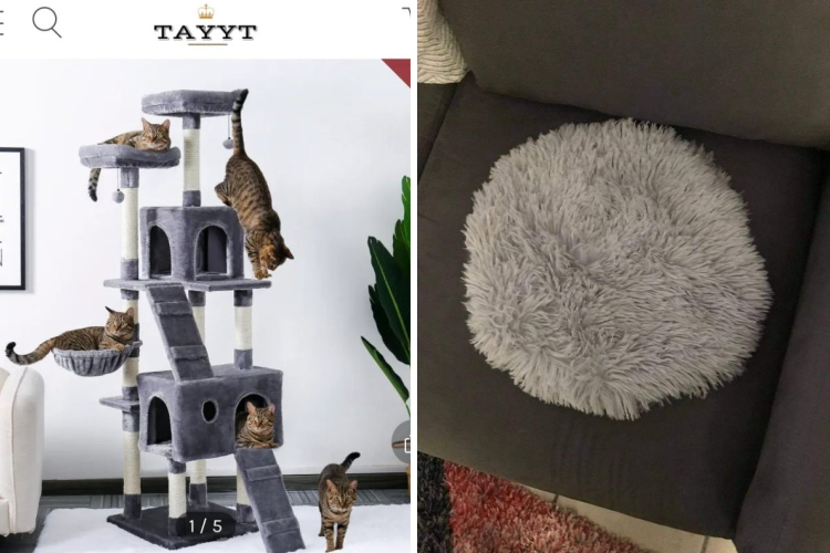 07-21-05-16251627391320610901