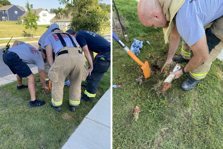 07-21-17-16267186621323596009