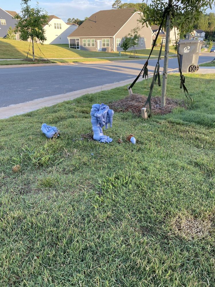 07-21-17-1626718669201285997