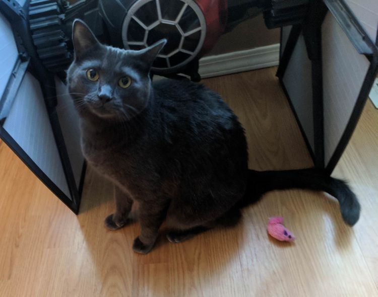 07-22-23-16268953991857443637