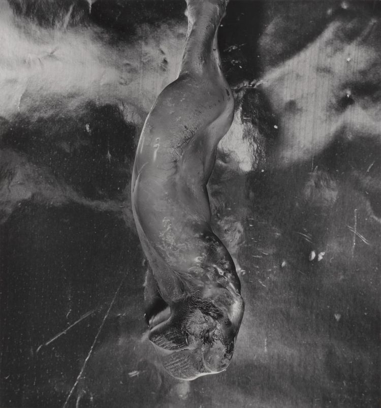 08-10-51-1627890700509635590