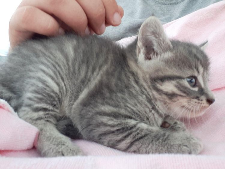 08-11-03-1628669015528690506