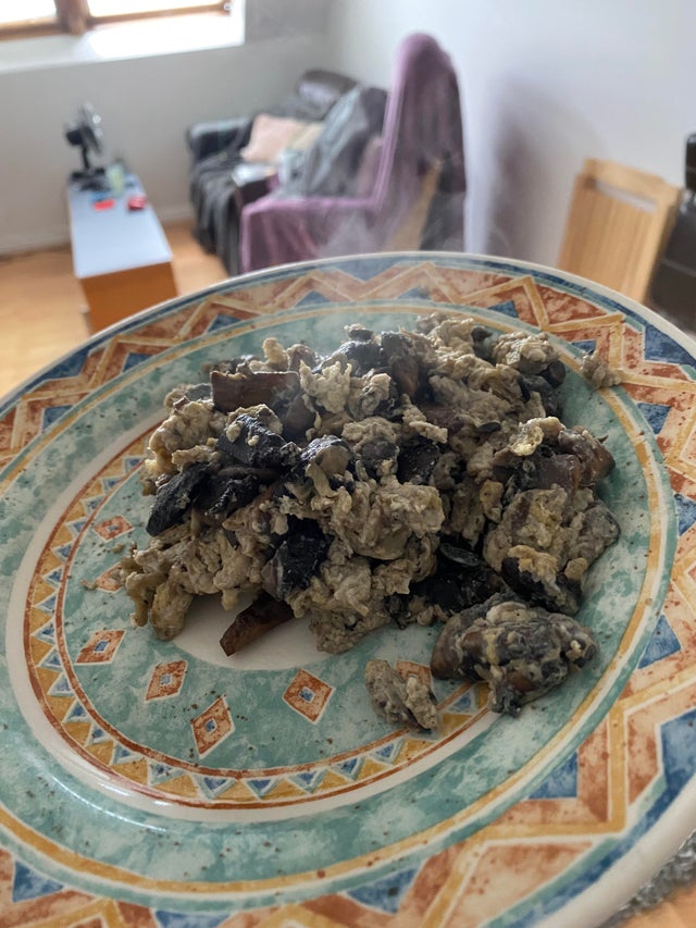 08-12-45-16285887231485623345