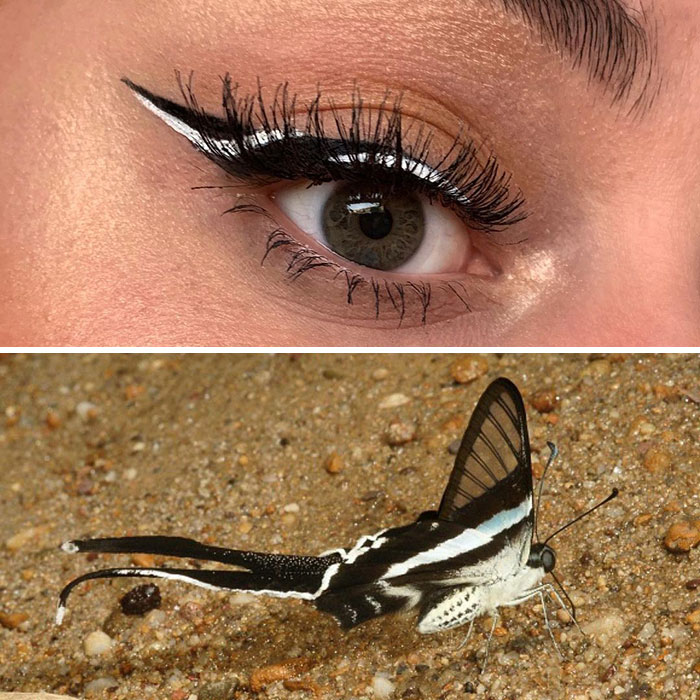 08-13-16-16288497792034100296