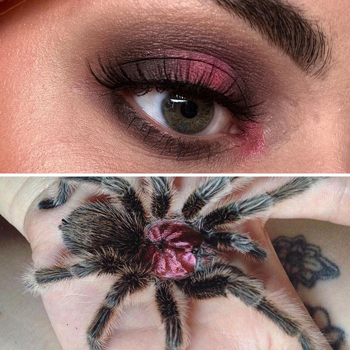 08-13-16-16288497801690126707