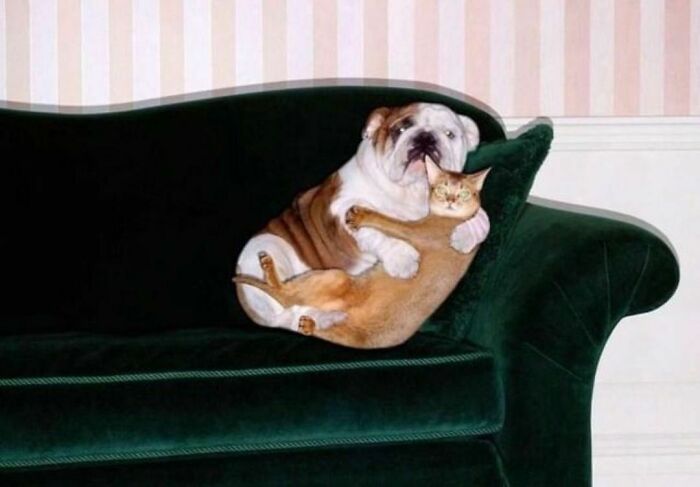 08-13-24-1628159062547937660